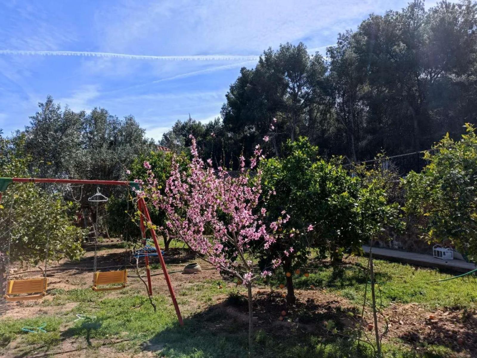 Bedroom With Private Bathroom And Two-Bedroom Family Suite In Quiet Forest Country House 80M2 Large Swimming Pool Music Town Lliria The Garden And Swimmingpool And Garden Are Shared 外观 照片
